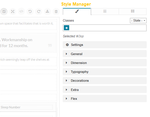The settings of the WYSIWYG style manager menu