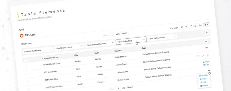 Illustration of data tables with filters