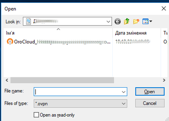 ../../_images/open_vpn_file.png
