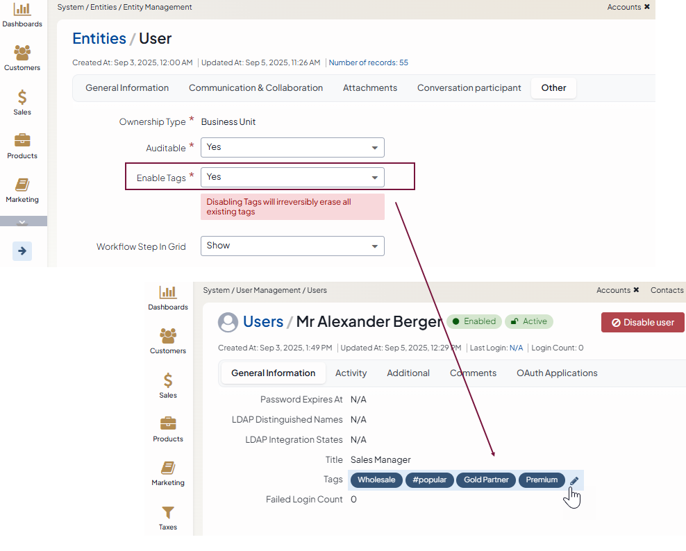 A sample of an entity record with assigned tags