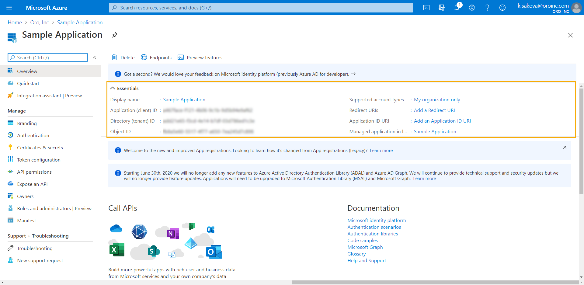 Essentials section on the main page displaying application credentials such as client id, directory id.