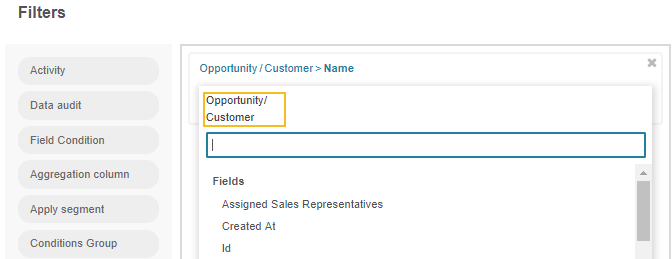 Filtering the opportunity record by customer name