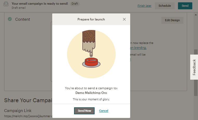 Send the email campaign from mailchimp